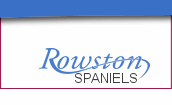 Rowston Spaniels